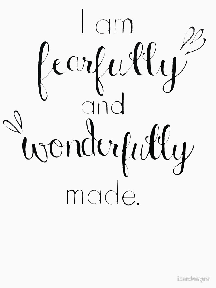 Read more about the article The Value of Life