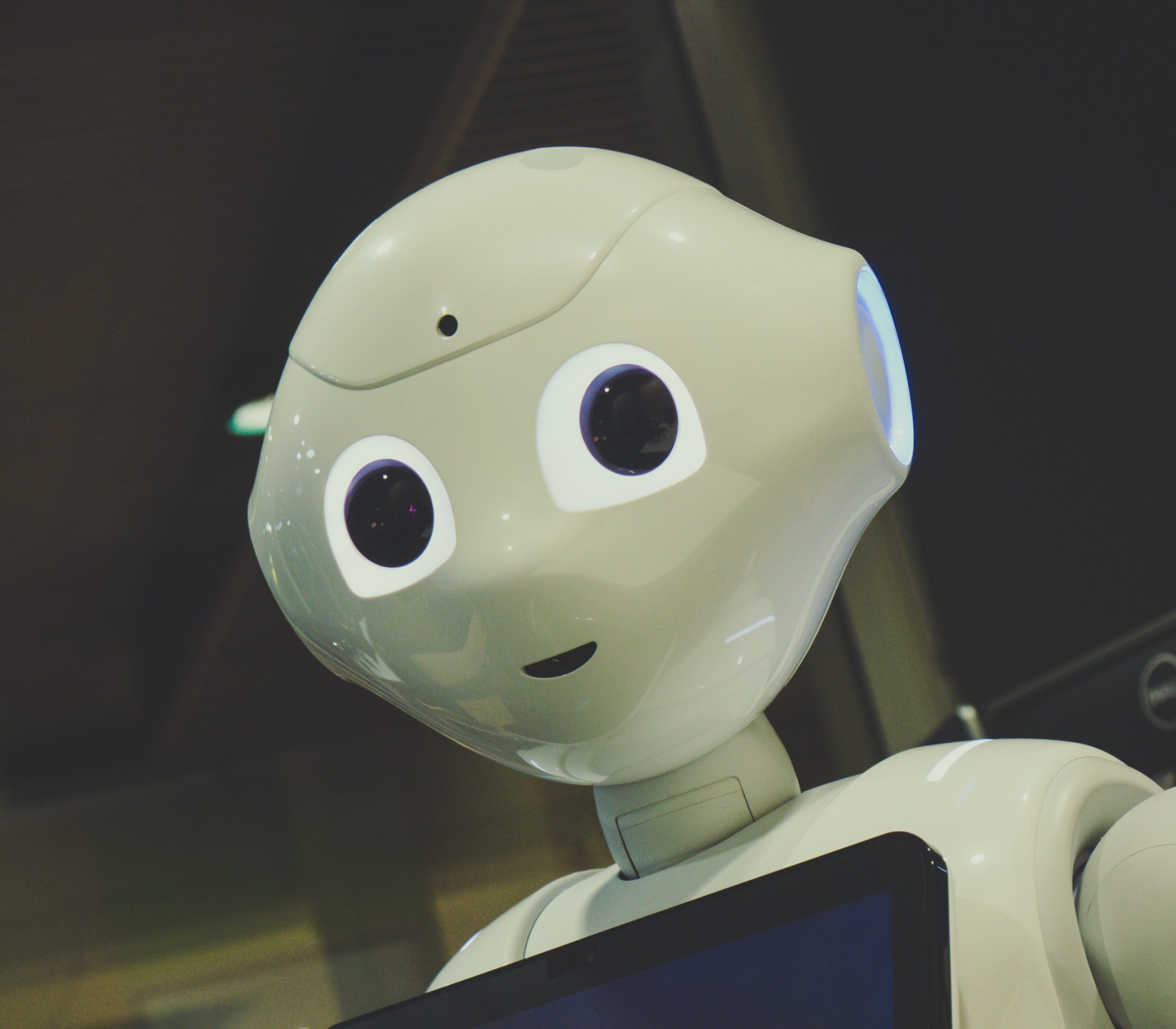 Read more about the article The End Of The Word?